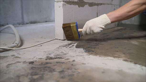 24/7 Emergency Crawl Space Encapsulation experts in Davison, MI